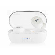 Wireless Bluetooth Earbuds BTE100 with Charging Box